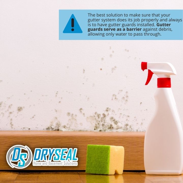 DrySeal Home and Basement Solutions business image in Farmville, VA