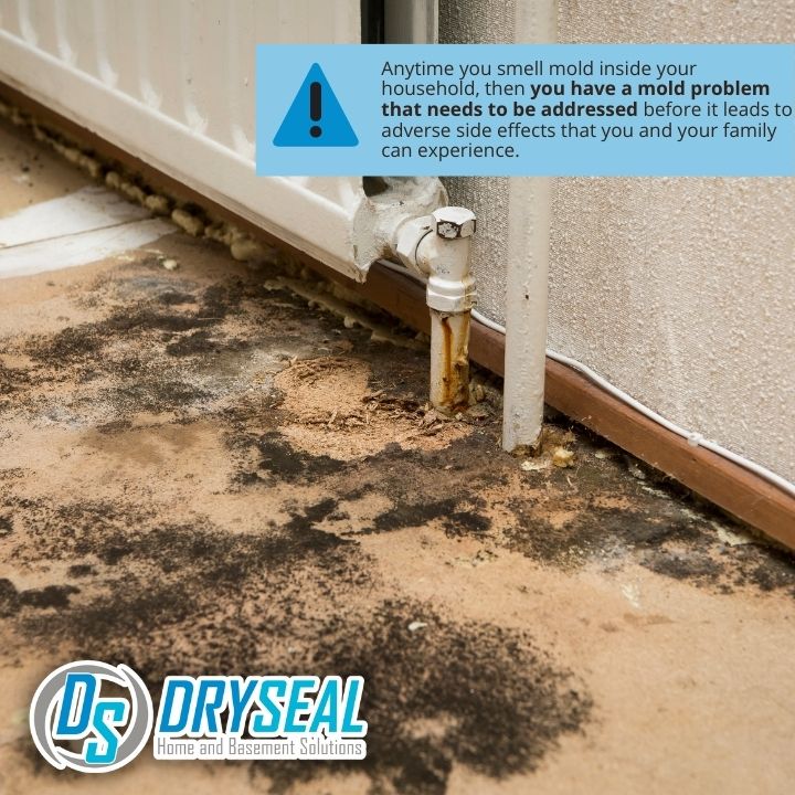 DrySeal Home and Basement Solutions business image in Farmville, VA