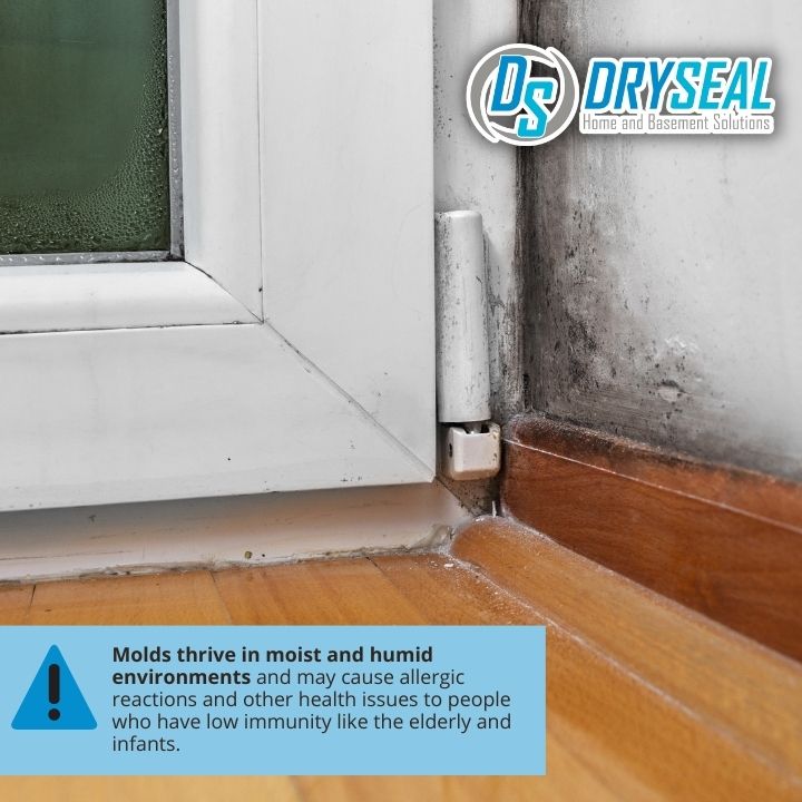 DrySeal Home and Basement Solutions business image in Farmville, VA