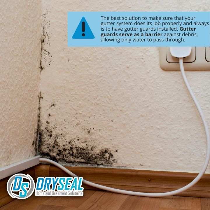 DrySeal Home and Basement Solutions business image in Farmville, VA