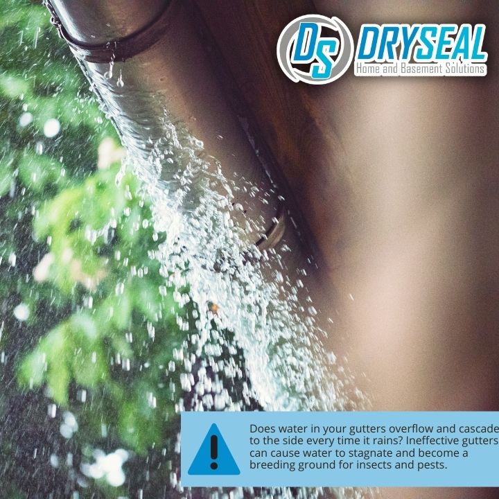 DrySeal Home and Basement Solutions business image in Farmville, VA