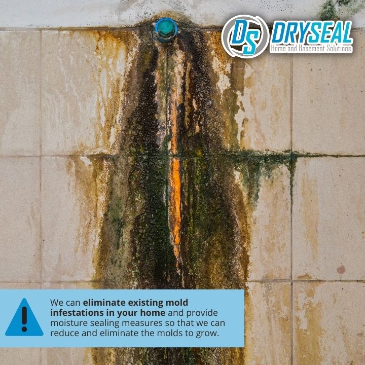 DrySeal Home and Basement Solutions business image in Farmville, VA