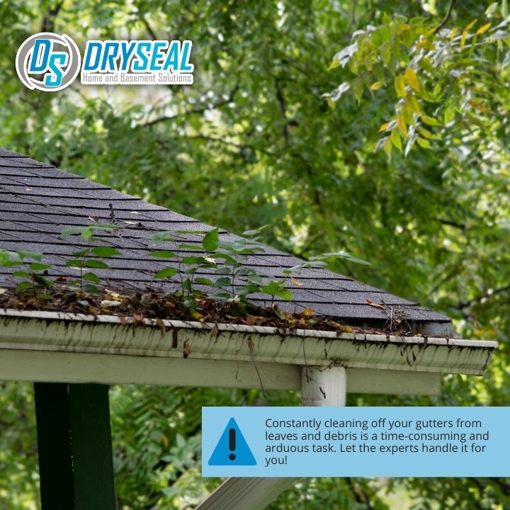 DrySeal Home and Basement Solutions business image in Farmville, VA